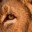 felipepassa.wordpress.com