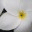blogaboutwhat.wordpress.com
