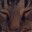 karmamule.wordpress.com