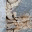 empathyblog.wordpress.com