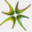 veeamcommunity.it