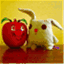 lapommeetlelapin.com
