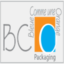 bco-packaging.com