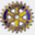 rotaryverooceanside.org