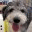 maomeeja.wordpress.com