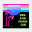 ayooashree.com