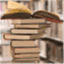 learningnation.wordpress.com