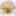passagetoinnerjoy.com