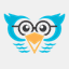 owlgrin.com