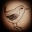 scribblingwren.wordpress.com