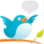 thewordbird.me