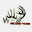 wao-productions.com