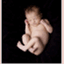 thebabygraphy.wordpress.com