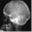 simxray.com