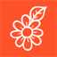 fioristabasilio.com
