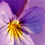 portal.alfamax.se
