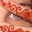kiraness.wordpress.com