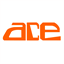 aceworksbusy.com