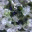 jmorfiris.wordpress.com