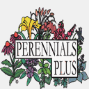 perennials-plus.com