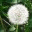 rykafoerster.wordpress.com