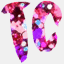 thecamelia.com