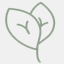 howtoveganblog.com