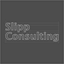 slippconsulting.com
