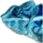 varput.wordpress.com