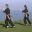 howardgibbon.com