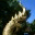 globalstrider.wordpress.com