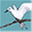intoseychelles.com