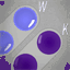 blog.williamkage.com