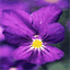aurelinfo.over-blog.com