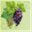 e-aiand.net