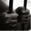 theprisonproject.wordpress.com