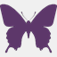feminy.net