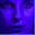 stefko.com