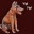 floorbarker.wordpress.com