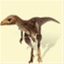 sinosauropteryx.com