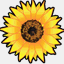 hasuda428.com