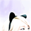 kimjonghyun.co.vu