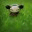 mimisorutz.wordpress.com