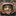 ancientalienipsum.com