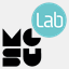 mgsu-lab.com