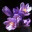 dreammakerz.wordpress.com