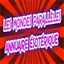 pub-voyance.com