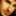 stevenlolli.com