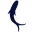 ihtio.com