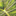 bruan.ca